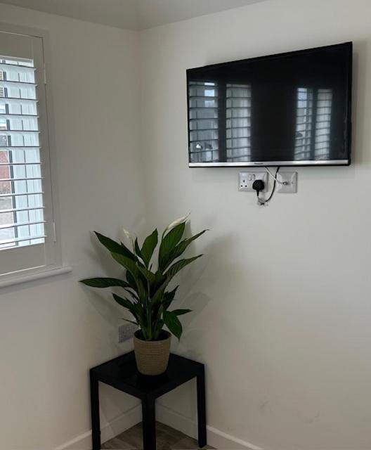 Heyric Apartman Padstow Kültér fotó